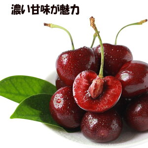 AJ`F[ 1kg A 嗱 9.5`10row ZÂ VN