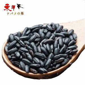 ���� 400g×10�_ ���낱�� �u���b�N���C�X �����Y �������� �G�� ���؎G�� �����G�� �e�� ���ؑe�� ���� �� ���� ������ ���ؐH�� �����H�� �����H�i ���ؐH�i �A�W�A�H�i �G���� ���� ���� ����