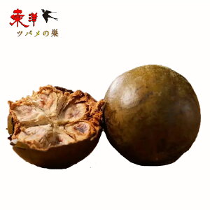 �����ʁy20�_�Z�b�g�z���J���J�̎� ���J���J�� ������ ���� �n�[�u�e�B�[ ���Y�� ���N�� 1��×20�_