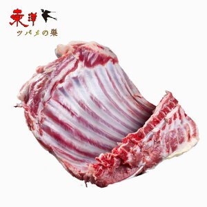 j[W[hY `bv y5_Zbgz  ΂獜t t[X o[xL[ BBQ Ⓚ900`1200g×5_