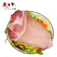 冷凍豚蹄膀 重量不定貫【1点】生豚すね肉 骨付き肉 アイスバイン用 冷凍食品 重量不定貫x1点