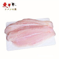 白身魚フィーレ1KG【1点】バサフィーレ 皮なし、骨取り お弁当・お惣菜に最適な白身魚 業務用 冷凍食品 1…