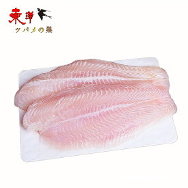 白身魚フィーレ1KG【1点】バサフィーレ 皮なし、骨取り お弁当・お惣菜に最適な白身魚 業務用 冷凍食品 1KGx1点