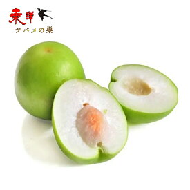 台湾青棗 【ケース販売】台湾ナツメ 高級蜜棗 新鮮フレッシュインドナツメ ビタミンCが豊富 果物 フルーツ 家庭用 贈答用ギフト　約2.5kg