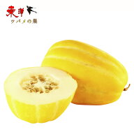 韓国マクワウリ約1KG【1点】チャメ 新鮮な食感 サクサク感蜂蜜甘さ 韓国食品野菜 約1KGx1点