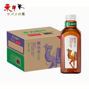 tG500ml {iE[ 荁΂킢 tbVɂ҂ lC
