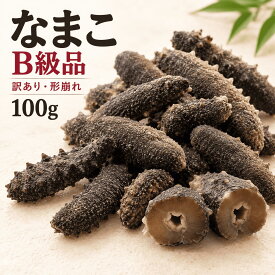 なまこ B級品 100g 関西産 訳あり ナマコ 海鼠 乾燥なまこ 乾燥ナマコ 干しナマコ 干しなまこ 金ん子 自家用 キズあり 形崩れ 簡易包装 お試し 海産物 乾物 乾燥海産物 なまこ乾物 中華食材 中国料理 中華料理 高級食材 珍味 海鮮食材 水産物 100グラム