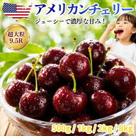 【SALE中】アメリカンチェリー 1kg 超大粒 9.5R 直輸入｜ダークチェリー さくらんぼ cherry ご家庭用 ギ…