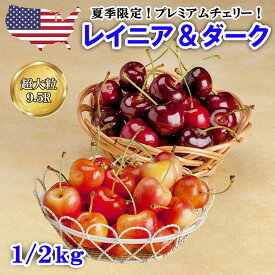 【終売間近】超大粒 レイニアチェリー＆ダークチェリー 食べ比べセット 1kg (各500g)・2kg (各1kg)｜アメリカンチェリー さくらんぼ Cherry 直輸入 ワシントン産  9.5R ミックス レーニアチェリー ギフト 家庭用 プレミアム 高糖度 甘い 化粧箱 御中元 父の日 冷蔵便