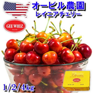 �I�[�r���_���wGEE WHIZ�x���嗱 ���C�j�A�`�F���[ ���V���g���Y 500g�A1kg�A2kg�A4kg�y�A�����J���`�F���[ �������� �T�N�����{ ���[�j�A geewhiz �W�[�E�B�Y ���Ԍ��� ���I ���� �ʕ� �t���[�c 