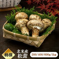 【松茸 北米産 特選 つぼみ 200g ～ 1kg】 送料無料 まつたけ マツタケ お取り寄せ 家庭用 業務用 高級 …