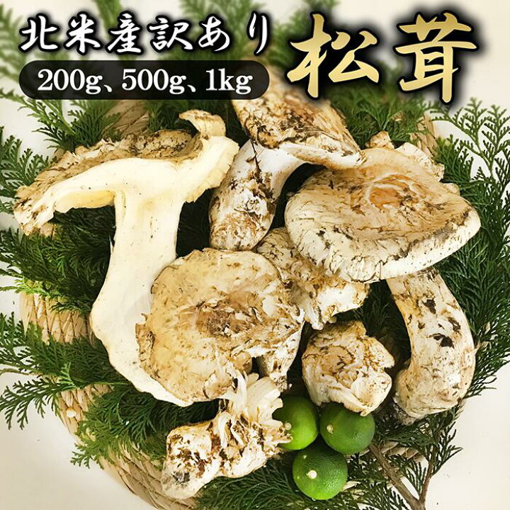 楽天市場】なくなり次第販売終了！【 訳あり 数量限定 天然松茸 200g 