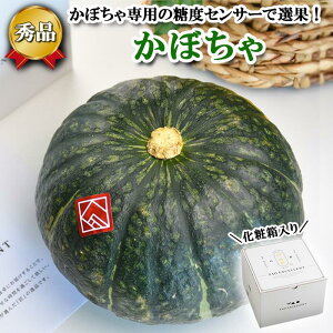 y ق߂ ڂ 1 zx12xȏ 1.4`2kg ڂ J{` Z kC Â  ₳   Mtg  yY yY { y ̓ ̓ Ε j oY