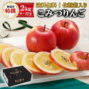 11/15まで！【早割】青森県産 特選 こみつ こみつりんご 蜜入りりんご 約2kg（8～12玉）JA津軽みらい【送料無料 蜜たっぷり 御歳暮 お歳暮 贈答用 家庭用 希少 限定品 高級 冬ギフト フルーツ りんご リンゴ 果物 ギフト のし対応 予約 人気商品 甘い】