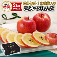 【早割】特選 こみつりんご 青森県産 こみつ 蜜入りりんご 約2kg（8～12玉）JA津軽みらい【お歳暮 特秀 …