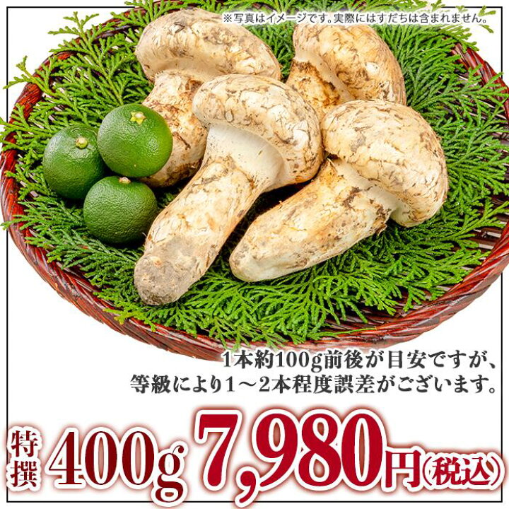 楽天市場 天然松茸 400g 北米産 アメリカ ギフト可 プレゼント お歳暮 香りマツタケ シャキシャキ食感まつたけ 焼き松茸 土瓶蒸し すき焼き 吸い物 10月上旬より順次発送 Yao Excellent 楽天市場 天然松茸 400g 北米産 アメリカ ギフト可 プレゼント お歳暮 香りマツタケ シャキシャキ食感まつたけ 焼き松茸 土瓶蒸し すき焼き 吸い物 10月上旬より順次発送 Yao Excellent