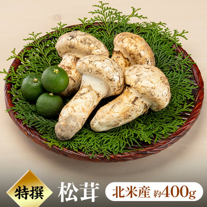 楽天市場】11月21日まで！【特撰松茸 200g、400g、500g、600g、1kg  