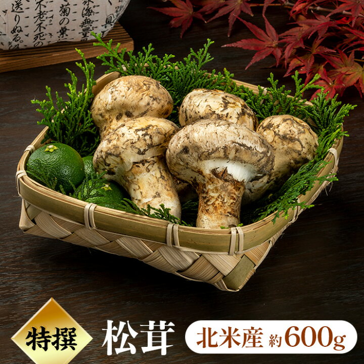 楽天市場】11月21日まで！【特撰松茸 200g、400g、500g、600g、1kg  
