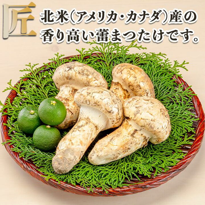 楽天市場】11月21日まで！【特撰松茸 200g、400g、500g、600g、1kg 