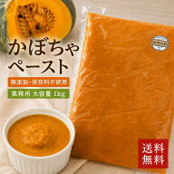 SALE 20%OFF【 ほめられ かぼちゃ 冷凍ペースト 1kg 】300p限定 北海道産 パンプキンペースト 南瓜 業務…