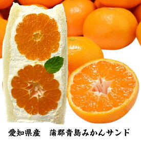 【楽天ランキング1位獲得】愛知県産　蒲郡みかん フルーツサンド 母の日 父の日 冷蔵便 人気商品 御祝 誕生日 記念日 プレゼント フルーツギフト フルーツ お取り寄せ スイーツ 生フルーツ お取り寄せスイーツ