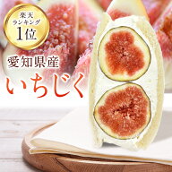 【楽天ランキング1位獲得】愛知県産 イチジク 無花果 冷蔵便 人気商品 御祝 誕生日 記念日 プレゼント 夏…