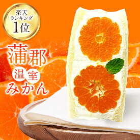 【楽天ランキング1位獲得】愛知県産 蒲郡温室みかん フルーツサンド 父の日 冷蔵便 人気商品 御祝 誕生日 記念日 フルーツギフト フルーツ お取り寄せ スイーツ 生フルーツ お取り寄せスイーツ