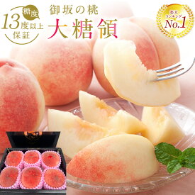 【20%OFF★お買い物マラソンラスト6時間限定 楽天ランキング1位獲得】高糖度保証‼ 山梨県産 御坂の 桃 大糖領 ギフト 6玉入り ★お中元 御中元 夏ギフト 敬老の日 御祝 御見舞 贈り物 御供 誕生日 プレゼント 内祝 フルーツ盛り合わせ かご盛 詰合せ 送料無料