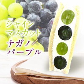 【楽天ランキング1位獲得】長野 山梨県産 シャインマスカット ナガノパープル フルーツサンド お歳暮 クリスマス 冷蔵便 人気商品 御祝 誕生日 プレゼント フルーツギフト フルーツ スイーツ フルーツケーキ