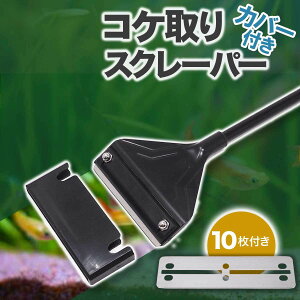 Jo[t RP XN[p[ vCU[ 42cm ւn 10t ANAE    | N[i[ ێ VF[o[ RP XeX ΍    S