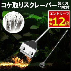 楽天市場 コケ取り 掃除用品 水槽 アクアリウム 熱帯魚 アクアリウム ペット ペットグッズの通販