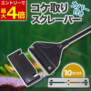 y11/30Gg[P4{!zJo[t RP XN[p[ vCU[ 42cm ւn 10t ANAE    | N[i[ ێ VF[o[ RP XeX ΍  