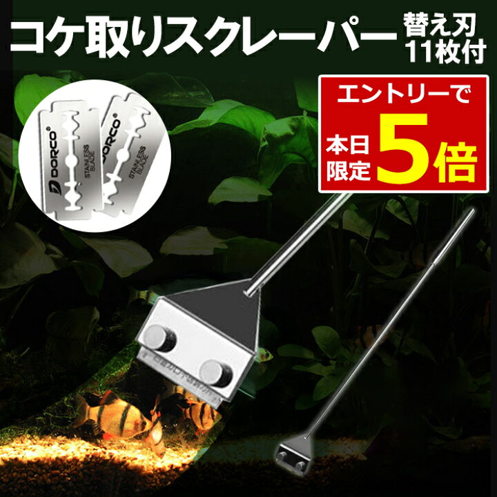 楽天市場 2 4 11当店限定p5倍 お買い物マラソン コケ取り スクレーパー プロレイザー 46cm 替え刃11枚付 アクアリウム 水草 苔 水槽 掃除 クリーナー 苔取り シェーバー コケ 対策 水草 水草水槽 そうじ Yao Store