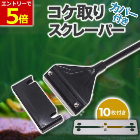 【6/15エントリーで最大P7倍!】カバー付き コケ取り スクレーパー プロレイザー 42cm 替え刃 10枚付 アクアリウム 水草 苔 水槽 掃除 クリーナー 苔取り シェーバー コケ ステンレス製 対策 水草 水草水槽 そうじ 安全