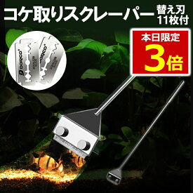 楽天市場 水草の通販