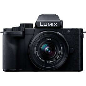 パナソニック LUMIX DC-G100K-K G100 Kキット 標準ズームレンズキット ブラック ルミックス ミラーレス一眼カメラ Panasonic