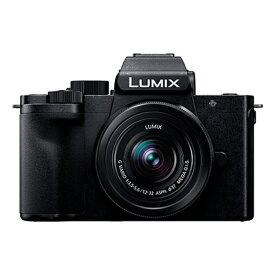 パナソニック LUMIX DC-G100DK-K G100D Kキット 標準ズームレンズキット ルミックス ミラーレス一眼カメラ Panasonic