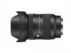 sVitVO} Y 28-70mm F2.8 DG DN Contemporary [\j[ E}Egp] SIGMA