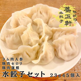 【手作り水餃子1日5セット限定】養正軒 厳選した材料を使用 中国伝統的手作り水餃子 Aセット 3種×45個入(23g×15個入×3箱) ラム肉人参餃子 豚肉セロリ餃子 豚肉蓮根餃子 冷凍食品 冷凍水餃子 水餃子 自家製の特製タレ付き お取り寄せ 新鮮 肉 季節の野菜