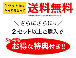 1セットから送料無料!