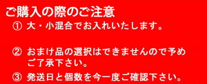 注意事項