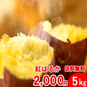 ●紅はるか5kg入2セット以上ご購入で【野菜おまけ】
