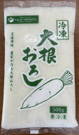業務用　冷凍大根おろし　500g×20パック　10kg段ボール　国産　宮崎県産　冷凍便配送【送料無料】　■沖…