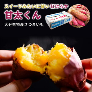 Ñ g͂邩 ܈ Tc}C 啪Y Y JA 2kg 2L 5kg 5L 10kg 10L Y F ₵ ܂ Ă Ă Ă ACX Ĉ LC  XC[c 