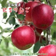 紅玉りんご apple 味濃厚 2kg 5kg 10kg 大容量 お徳用 国産 家庭用 お中元 お歳暮 ギフト 贈り物