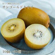 サンゴールドキウイ 家庭用 キウイフルーツ 果物 フルーツ 10個 20個 30個 50個 お取り寄せグルメ セット…