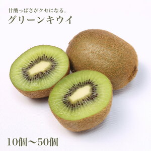 LEC ƒp LECt[c ʕ t[c 10 20 30 50 񂹃O Zbg Mtg 񂹃Mtg 