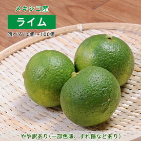 ライム メキシコ産 lime 味濃厚 10個 20個 40個 100個 大容量 お徳用 国産 家庭用 お中元 お歳暮 ギフト 贈り物