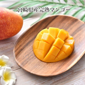�{��Y�}���S�[ �����I�ׂ� �_������ ���� �t���[�c ���蕨 �M�t�g