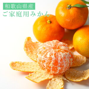 ݂ a̎RY 2kg 5kg 10kg e p K Y ƒp  Ε Mtg 蕨 Y